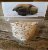 Product: Pompoen pitten de luxe - Actuele voorraad: 6