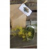 Product: Dille steeltjes de luxe