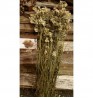 Product: Tarwe spelt duizenblad de luxe