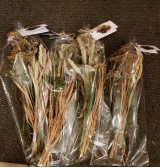 Product: Tarwe spelt duizendblad de luxe - Actuele voorraad: 20