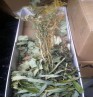 Product: Knabbel box met verse en gedroogde takken