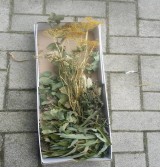 Product: Knabbel box met  takken - Actuele voorraad: 47