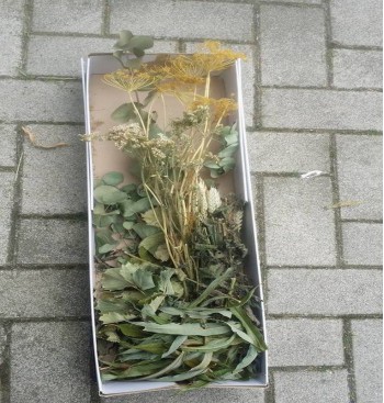 Product: Knabbel box met verse en gedroogde takken Product: Knabbel box met verse en gedroogde takken
