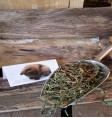 Product: Paarden bloem bloemen  - ChantyPlace.com