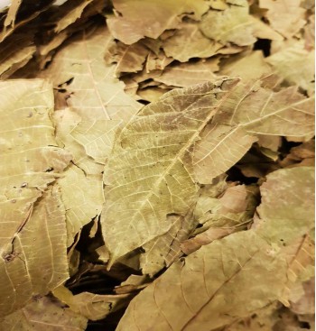 Product: Walnoot blad grof 50 gram Product: Walnoot blad grof 50 gram