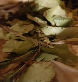 Product: Appel blad grof - Actuele voorraad: 56