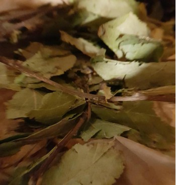 Product: Appel blad 25 gram grof Product: Appel blad 25 gram grof