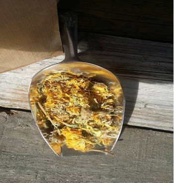Product: Goudsbloem bloemen 10 gram Product: Goudsbloem bloemen 10 gram