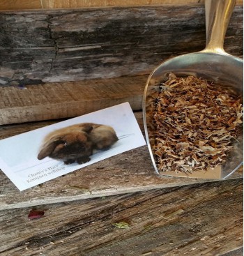 Product: Ijslandsmos 50 gr Product: Ijslandsmos 50 gr