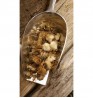 Product: .Paardenbloem bloem