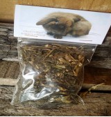Product: .Echina forse - Actuele voorraad: 76