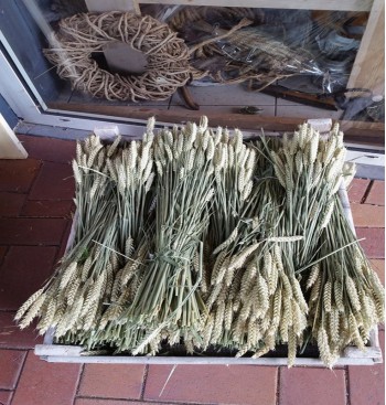Product: Super xxl lange tarwe bos Product: Super xxl lange tarwe bos