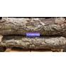 Product: XXXXL Boomstam