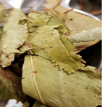 Product: Kriek kersen blad Product: Kriek kersen blad