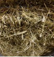 Product: Timothy hay 400 gram grof - ChantyPlace.com