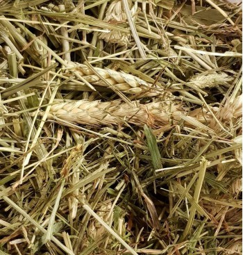 Product: Chanty gras mix Product: Chanty gras mix