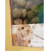 Product: .Cookie cocos - Actuele voorraad: 152