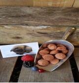 Product: .Cookie fruit gemengd - Actuele voorraad: 166