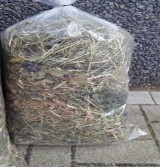 Product: pieter-coen - Actuele voorraad: 2