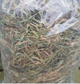 Product: Chanty hayfusion - Actuele voorraad: 270