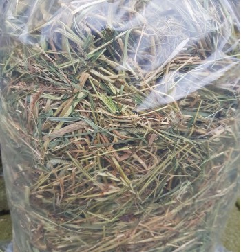 Product: Chanty hayfusion Product: Chanty hayfusion