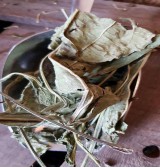 Product: Echina blad - Actuele voorraad: 75