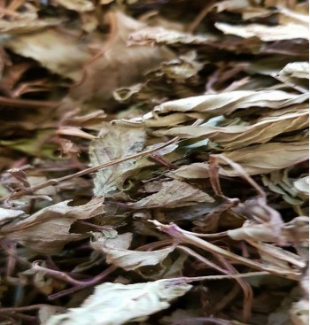 Product: Pepermunt blad grof Product: Pepermunt blad grof