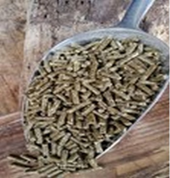 Product: Basic bix met lijn en zonnebloem Product: Basic bix met lijn en zonnebloem