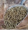 Product: Basic bix met lijn en zonnebloem