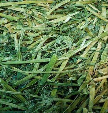 Product: .Alfalfa Luzerne Hooi