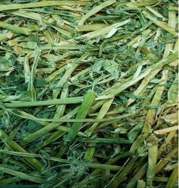 Product: .Alfalfa Luzerne Hooi Product: .Alfalfa Luzerne Hooi