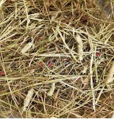 Product: .Timothy flower hay - Actuele voorraad: 218