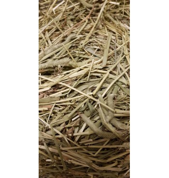 Product: .Timothy hooi Zweeds grof A Product: .Timothy hooi Zweeds grof A