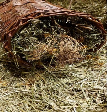 Product: *Wilgen rol xl gevuld Product: *Wilgen rol xl gevuld