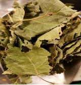 Product: Berkblad - Actuele voorraad: 233
