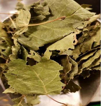 Product: Berkblad Product: Berkblad