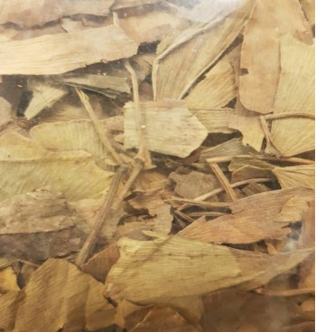 Product: *Ginkgo Product: *Ginkgo