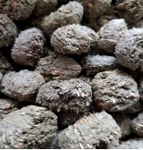 Product: .Timothy cookie - Actuele voorraad: 183