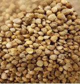 Product: Fenegriek - Actuele voorraad: 27