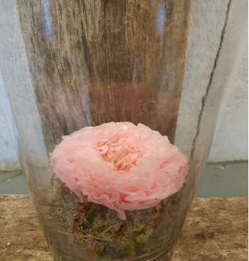 Product: Miss in glas Product: Miss in glas