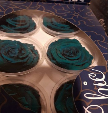 Product: Shade box Product: Shade box