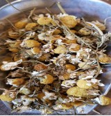 Product: Kamille Grof bloem - Actuele voorraad: 130