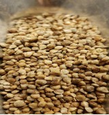 Product: Spinazie Zaad - Actuele voorraad: 7