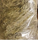 Product: Timothy XXL  - Actuele voorraad: 69