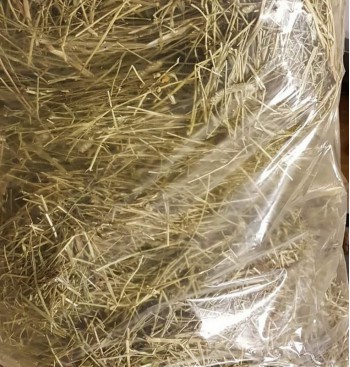 Product: Timothy XXL Product: Timothy XXL