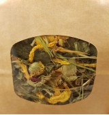 Product: .Chanty kruiden bloemen mix - Actuele voorraad: 193