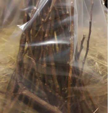Product: Peer takken met blad Product: Peer takken met blad