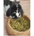 Product: Rabbits back kruidenmix - ChantyPlace.com