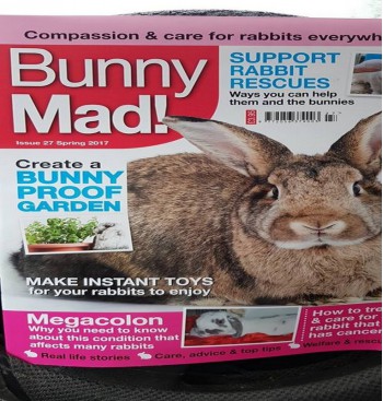 Product: Bunny Mad 27 Megacolon Product: Bunny Mad 27 Megacolon