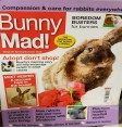 Product: Bunny Mad 31 - ChantyPlace.com